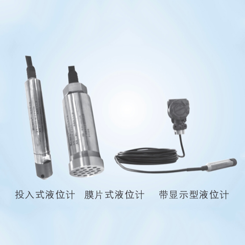 DS系列潜水型压力变送器